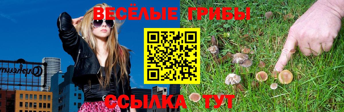 Псилоцибиновые грибы Psilocybine cubensis  Вход с VPN  Ревда 
